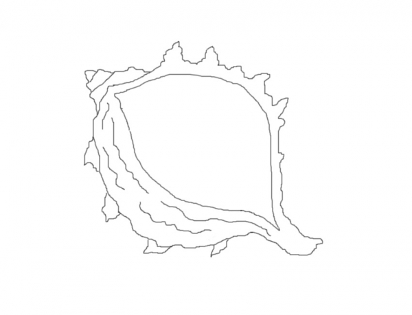 Creation of Shell And Branch: Step 1